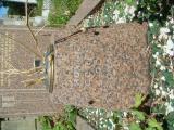 image of grave number 730764